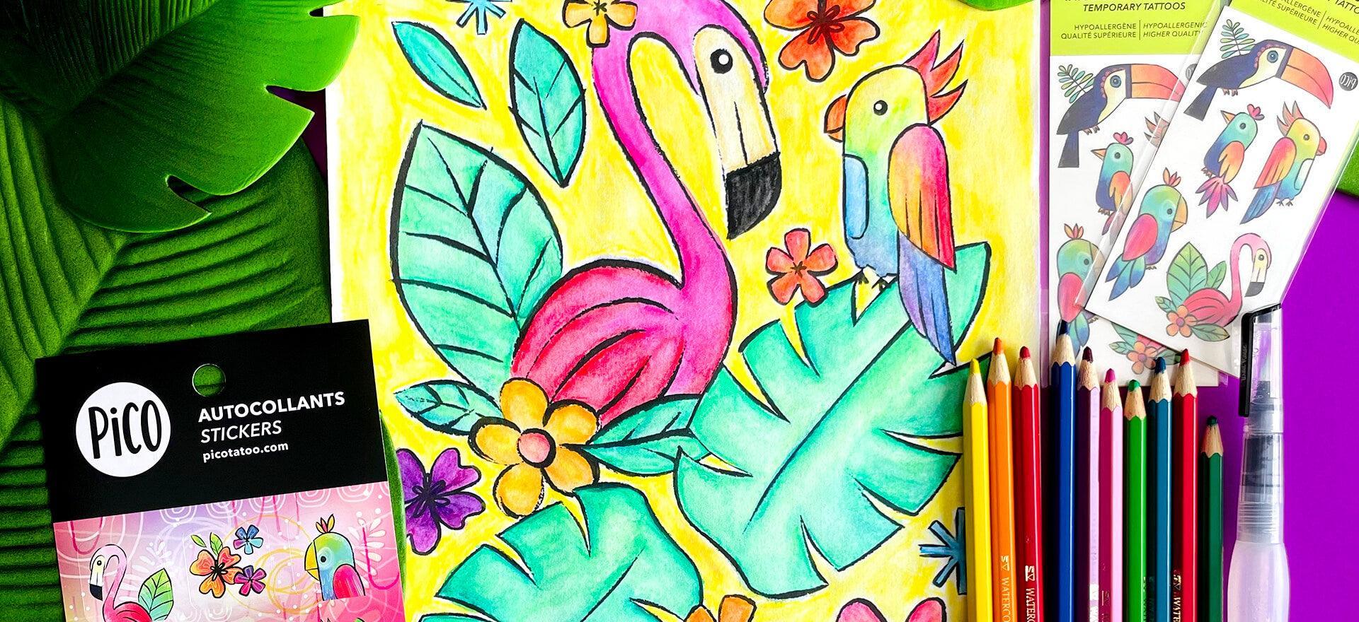 Explorez le monde des oiseaux avec PiCO Tatoo - PiCO Tatoo
