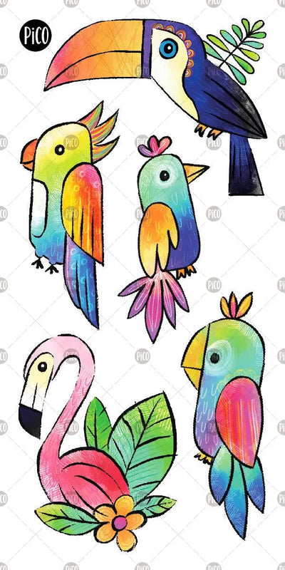 toucan tatouages temporaires PiCO temporary tattoos toucan