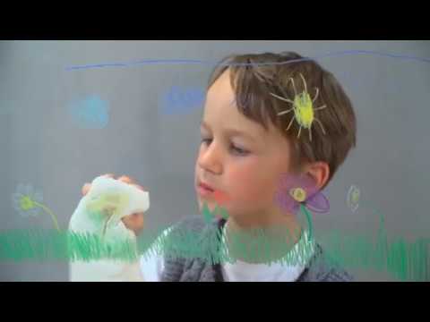 Woody 3 en 1 - 6 couleurs - Stabilo